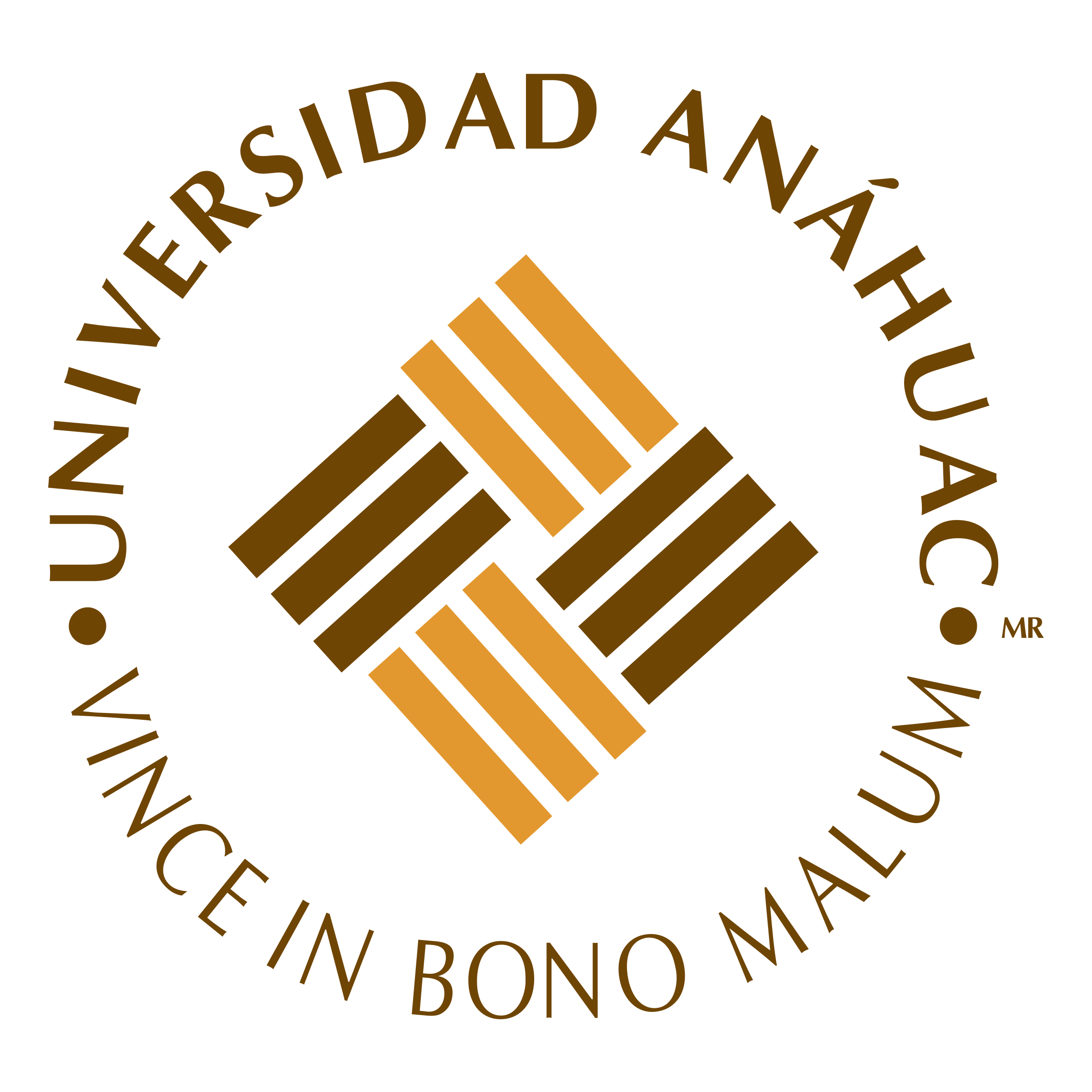 Universidad Anáhuac
